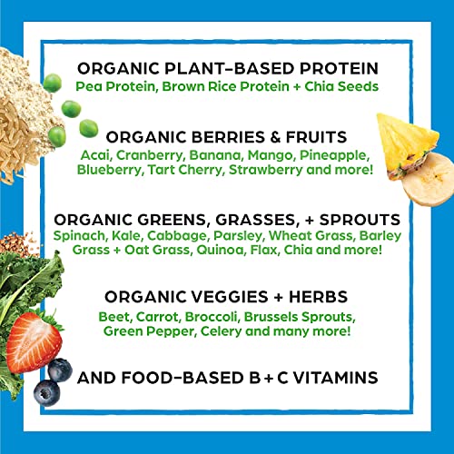 Orgain Natural Protein + Superfoods Powder in Creamy Chocolate Fudge (2.02 lbs) and Orgain Natural Vegan Protein Powder in Peanut Butter (2.03 lbs)